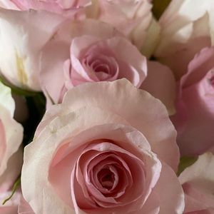 Meet your Posher, Andrea